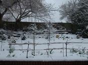 Garden This Weekend 24th March 2013