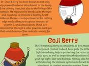 Super Food Berries