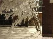 Record March Snow Storm Impacts Louis, Missouri