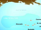 Chevron Announces Discovery Gulf Mexico