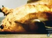 Dream Plane Crash York Dying Swan