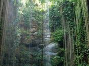 Cenote Yucatan, Mexico