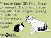 FFS!? Friday Easter Edition