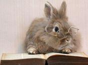 Rabbit Reading