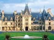 Pink Time Outs Winner