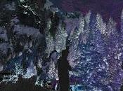 SOHN "The Wheel" (Distinction Remix)