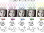 Free Customizable Photo Bookmark Print!