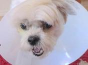 What Happening Today