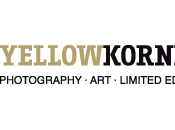 YellowKorner Gallery Making Photography Accessible Everybody