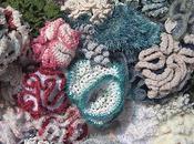 Crochet Coral Reef Project