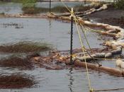 Third Major Spill Week: Shell Pipeline Breaks Texas