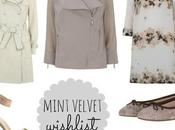 Mint Velvet