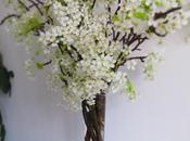 Blooming Pear Branches
