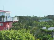 DAILY PHOTO: Caye Caulker Treetop Level