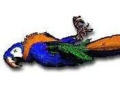 notloB Parlour Concerts Presents Joey Abarta, Paddy League Jackie O'Riley, with Special Guest Nathan Gourley!