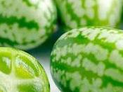 Ornamental Edible Exotics