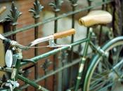 Scenes from Brooklyn