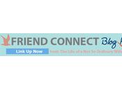 Come Join Friend Connect Blog Hop!
