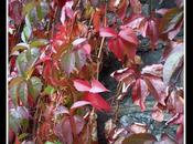 Weekly Photo: Change