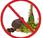 Foods That Dogs Need Avoid