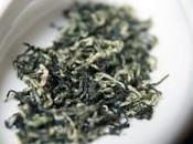 Biluochun- ‘Second Best Known’ Chinese Green