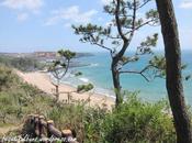 Jeju Island: Sea, Shellfish Haenyeo [buzz Korea]