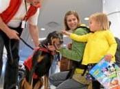 Unveils Program Using Dogs Relieve Airport Stress