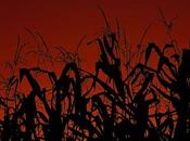 Frankenveggies: Monsanto Protection Passes Senate