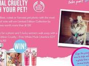 Fight Animal Cruelty with Your