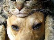 Would Date This Man...