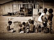 Faces Bougainville: Busy Bees