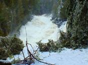 Ragged Falls Under Major Spring Flooding Oxtongue River