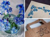 Forget-me-nots Special Offer
