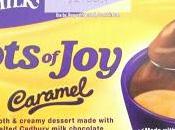 Cadbury Pots Caramel Review