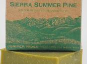 Dwell Green Gift Guide: Part