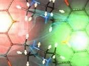 Quantum Dynamics Observed Photosynthesis Gives Ideas Solar Cells