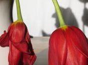 Know Self: What Others Claim