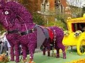 Tulip Shortage Affects Spalding Flower Parade