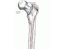 Yoga Dysplasia