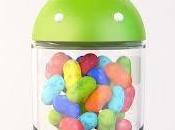 Next Version Android Jelly Bean