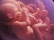 “Sometimes When You’re Silent Hear Her, Sense Her.”