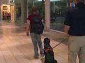 Dogs Trained Smell Bomb Vapors