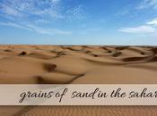 Grains Sand Sahara.