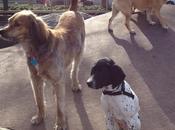 Everything Good Here Parcel