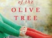 Review: Roots Olive Tree