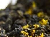 Osmanthus Oolong- That Defies Convention
