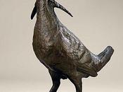 This Case: Prairie Chicken