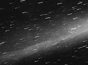 Concert Review: Motor City Comet