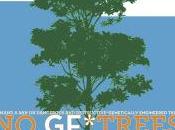 Stop Tree Before They Start! Interview with Anne Peterman, Global Justice Ecology Project.