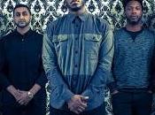 Video: Rabbits "Can't Fool